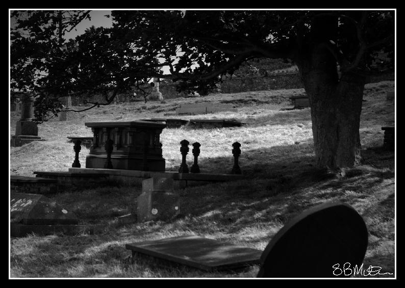 Shadowed Tomb: Photograph by Steve Milner